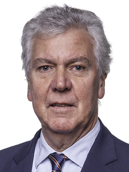 Luís Marques Guedes
