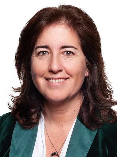 Ana Mendes Godinho