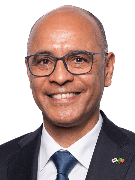 Gabriel Mithá Ribeiro