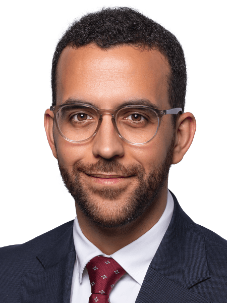 Paulo Lopes Silva