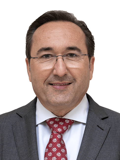 Vítor Guerreiro